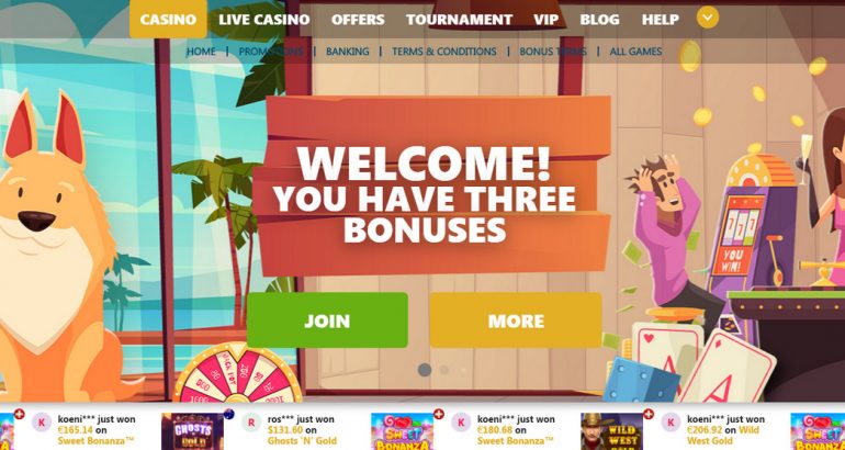 Playdingo promotion bonus code new casino